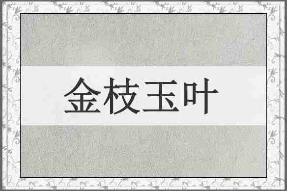 金枝玉叶