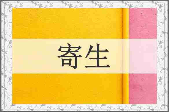寄生