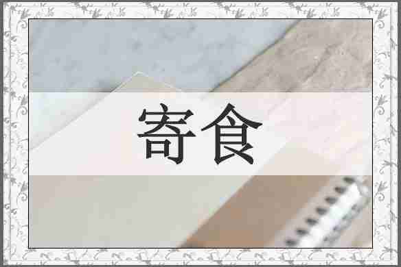 寄食