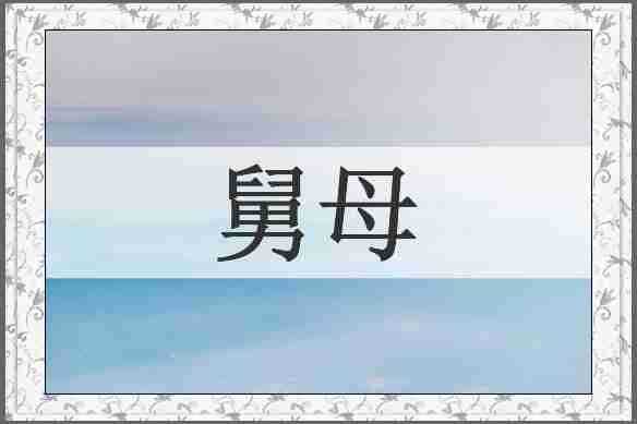 舅母