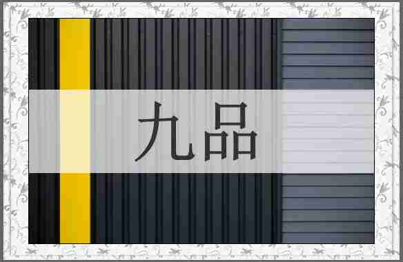 九品