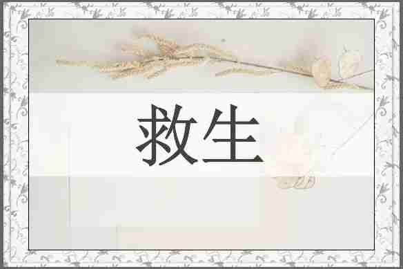 救生