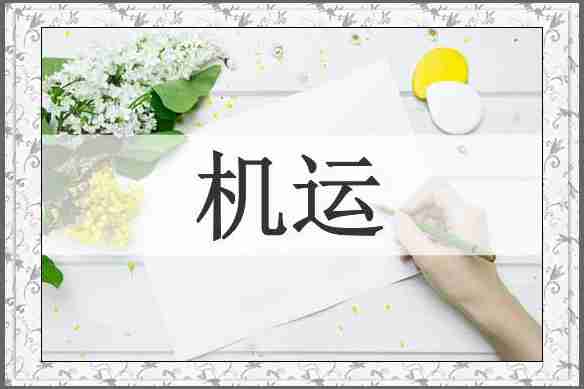 机运