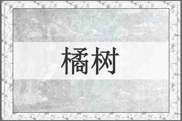 橘树