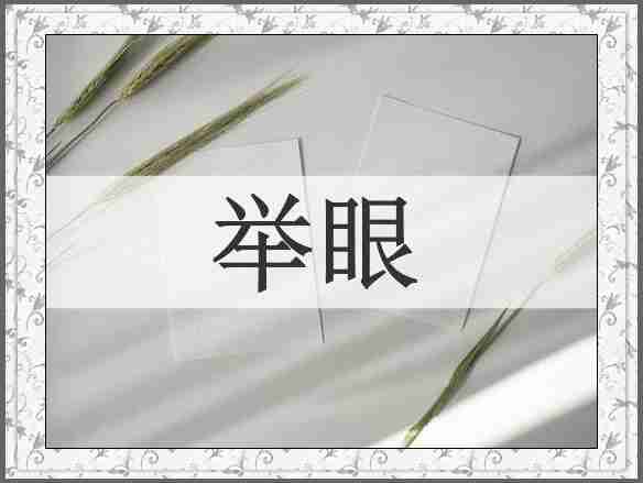举眼