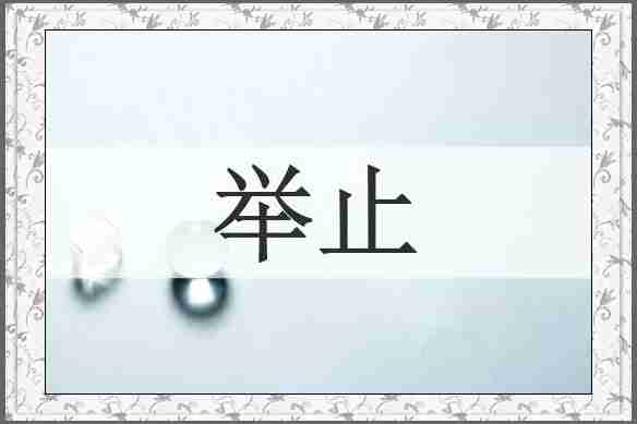 举止