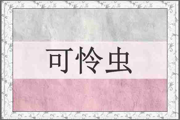 可怜虫