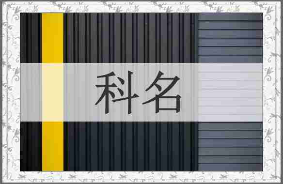 科名