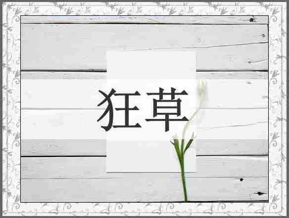 狂草