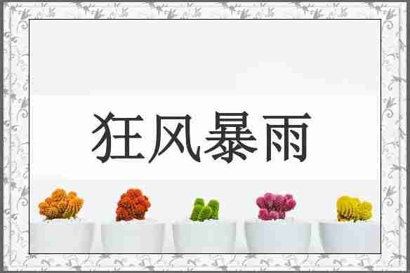 狂风暴雨