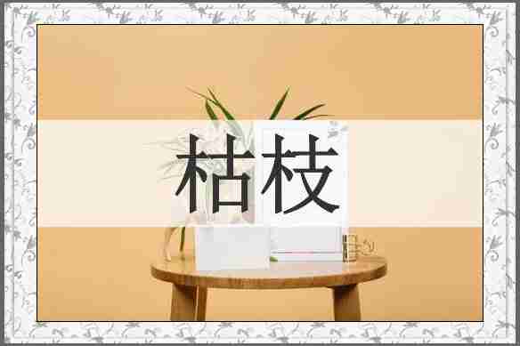 枯枝