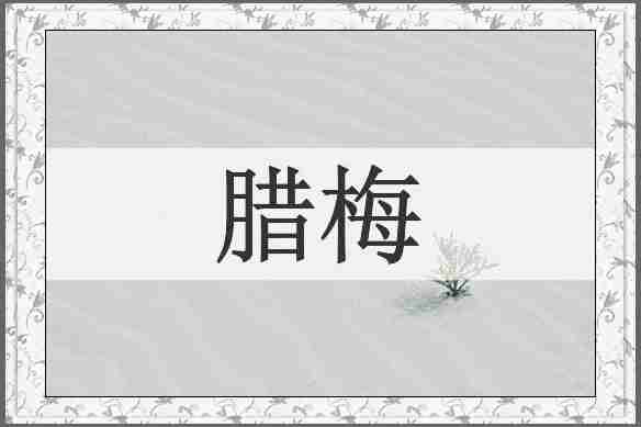 腊梅