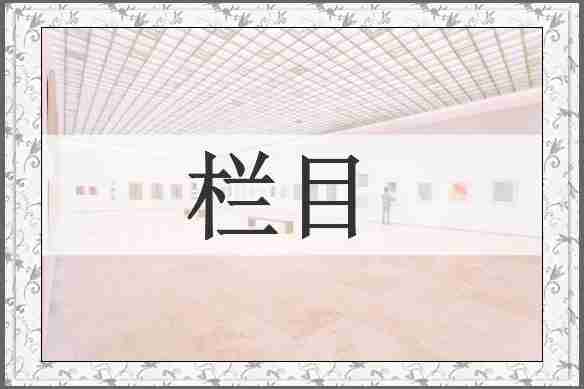 栏目