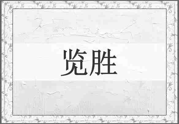 览胜