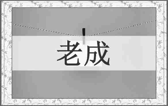 老成