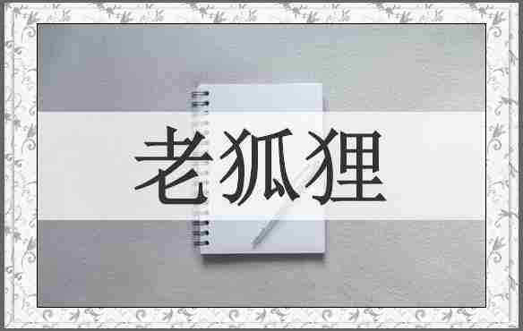 老狐狸