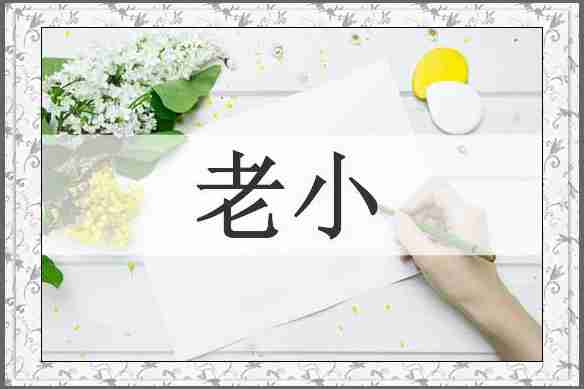 老小