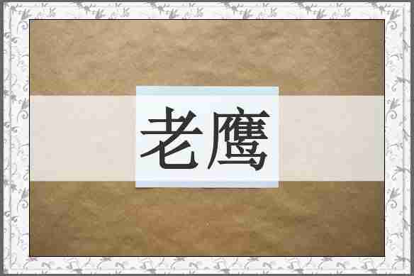 老鹰