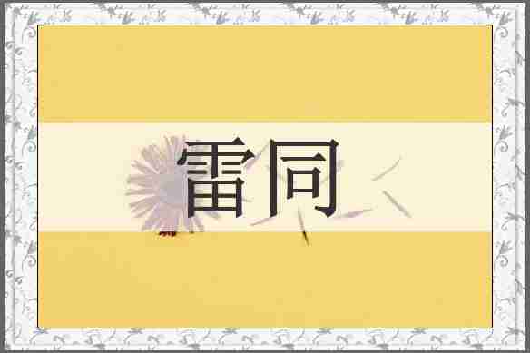 雷同