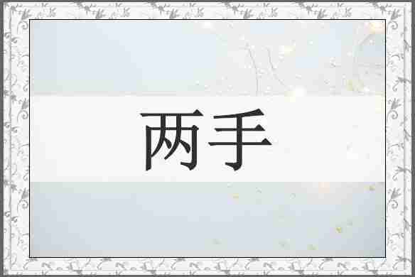 两手