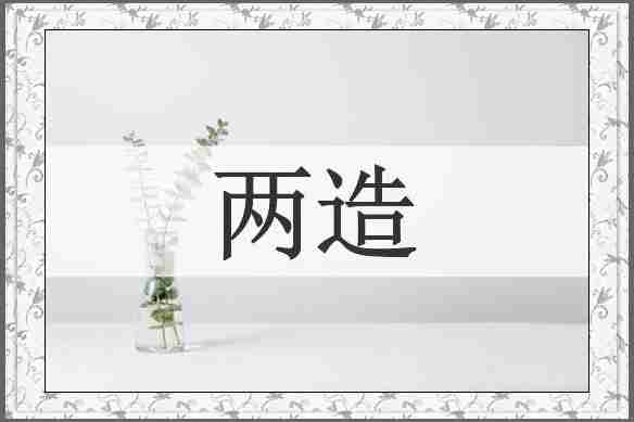 两造