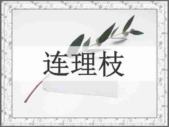 连理枝