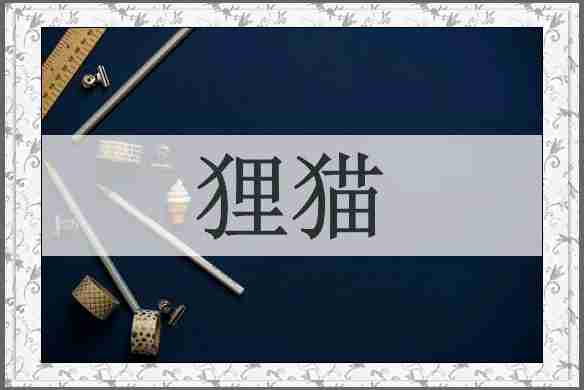 狸猫