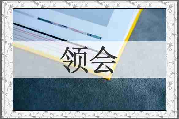 领会