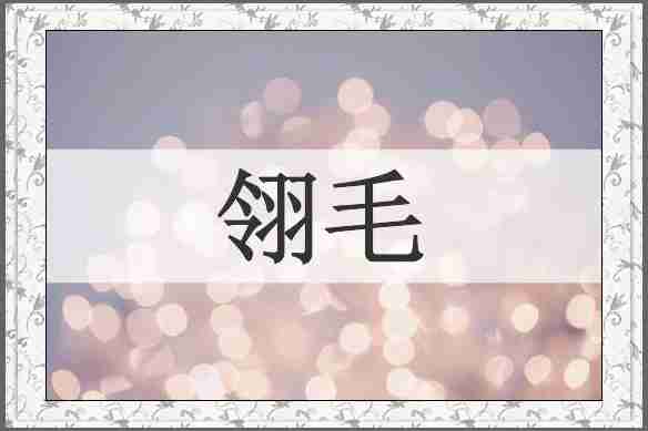 翎毛