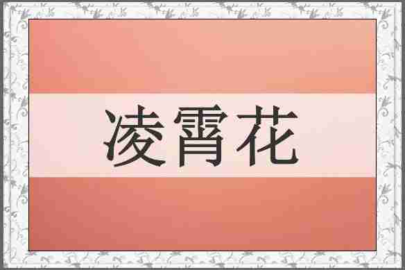 凌霄花