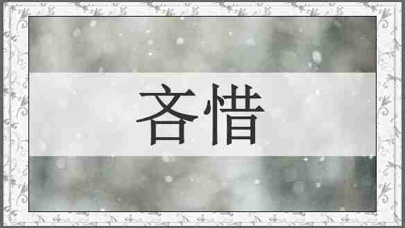 吝惜