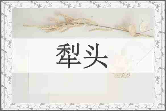 犁头