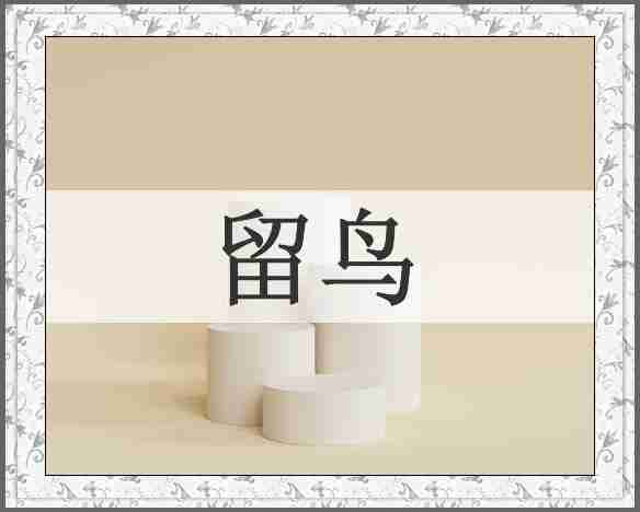 留鸟