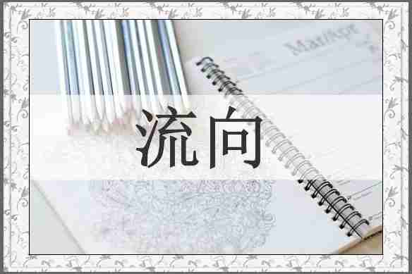 流向