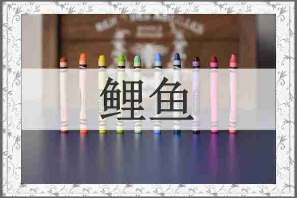 鲤鱼