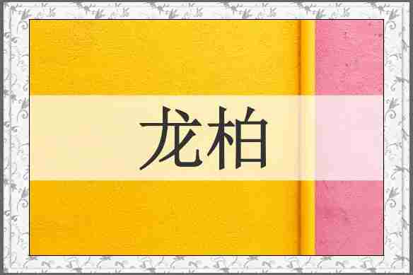 龙柏