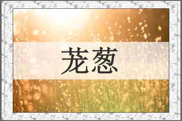 茏葱