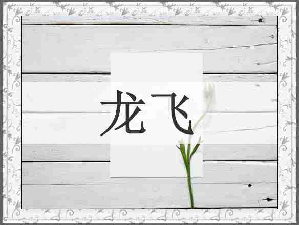 龙飞