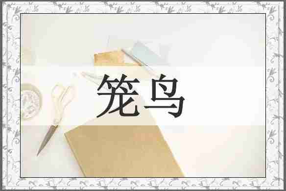 笼鸟