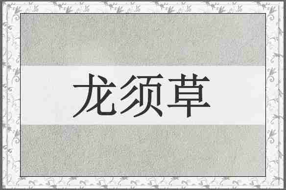 龙须草