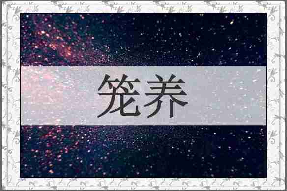 笼养