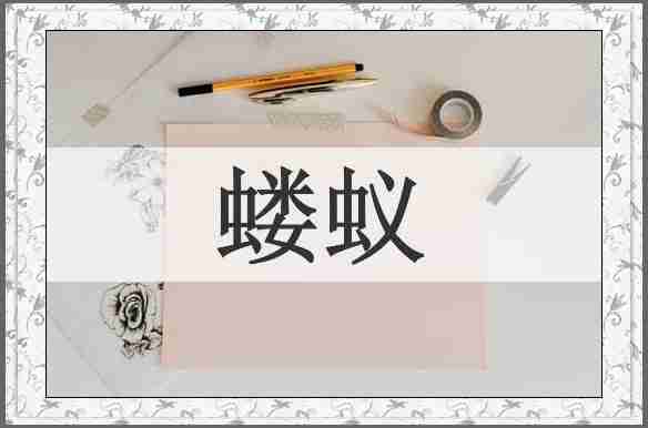 蝼蚁