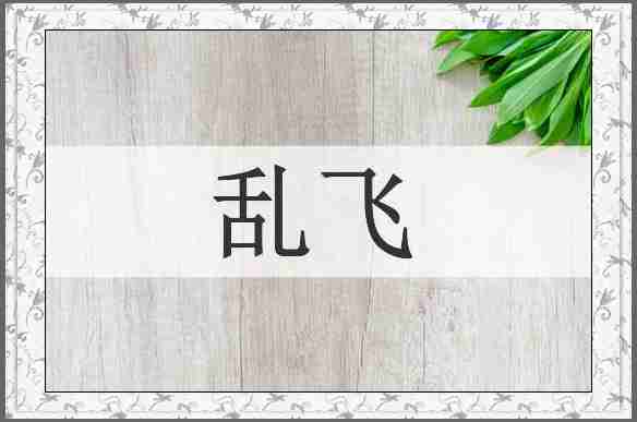 乱飞