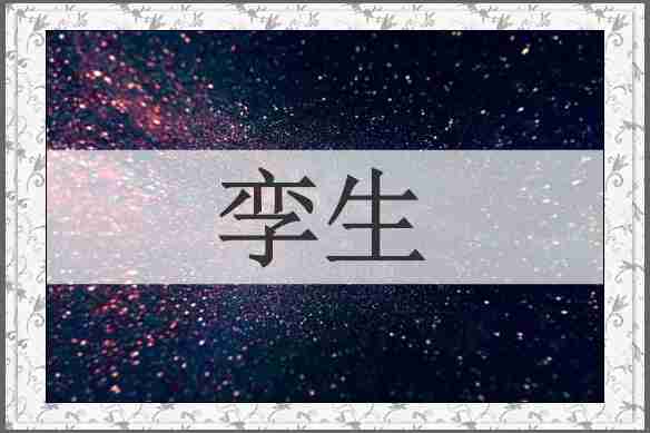 孪生