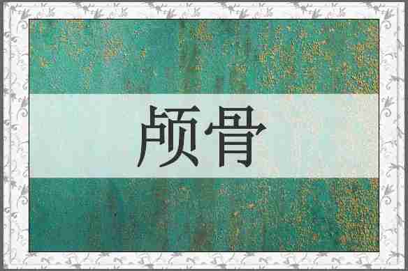颅骨