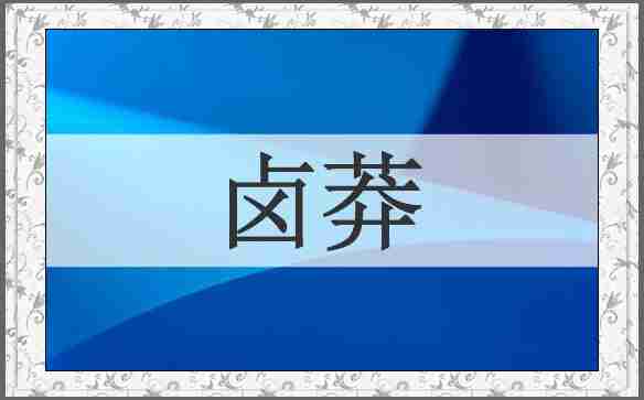 卤莽