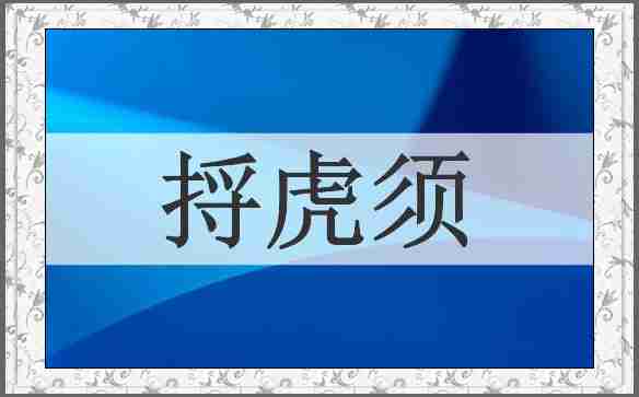 捋虎须