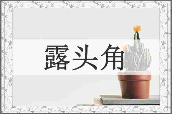 露头角