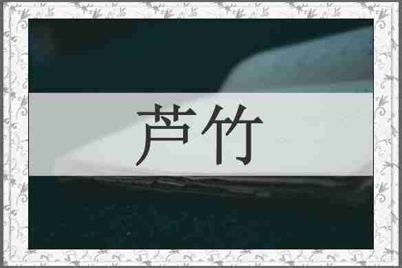 芦竹