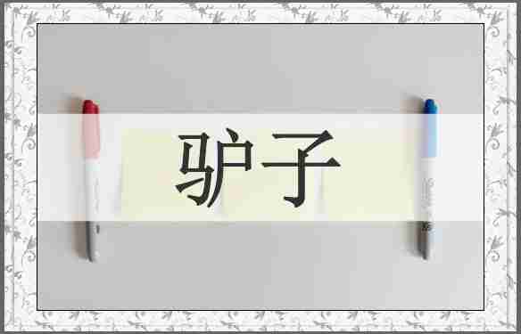 驴子